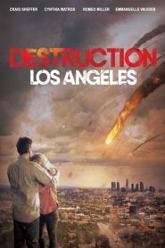 Destruction Los Angeles (2017)