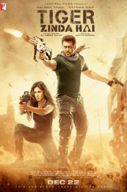 Tiger Zinda Hai (2017)