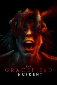 The Gracefield Incident (2017)