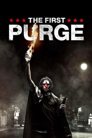 The First Purge (2018)