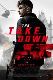 The Take Down (2017)