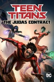 Teen Titans: The Judas Contract (2017)