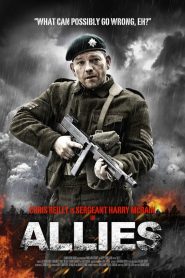 Allies (2014)