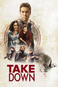 Take Down (2016)