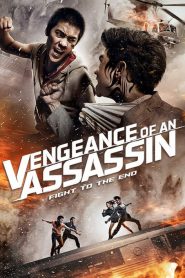 Vengeance of an Assassin (2014)