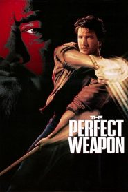 The Perfect Weapon (2016)