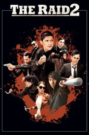 The Raid 2 (2014)