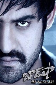 Baadshah (2013)