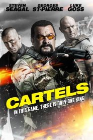 Cartels (2017)