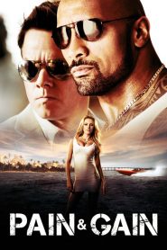 Pain & Gain (2013)