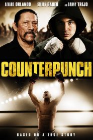 Counterpunch (2013)