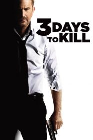 3 Days to Kill (2014)