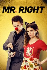 Mr. Right (2015)